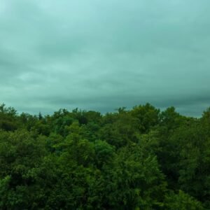 3 Piece Unstitched Chiffon – Antique Mauve